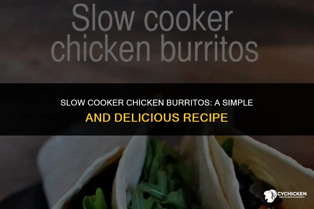 how to make chicken burritos in a crock pot