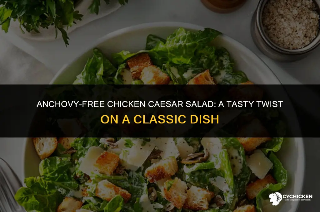 how to make chicken caesar salad without anchovies
