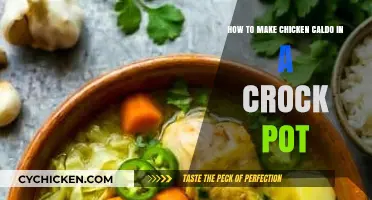 Simmering Comfort: Crock Pot Chicken Caldo Recipe