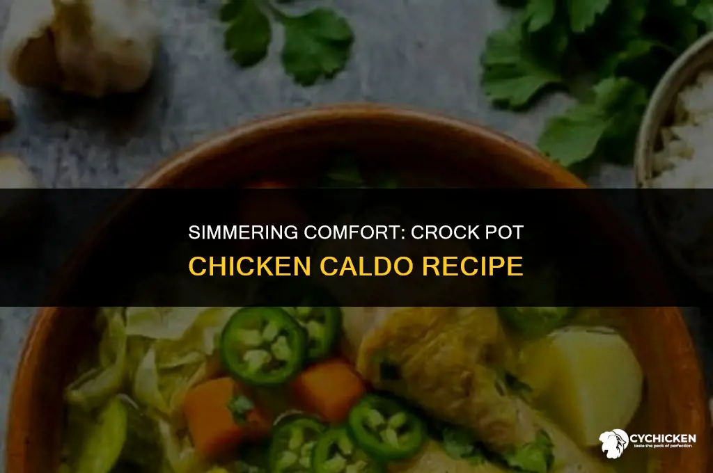 how to make chicken caldo in a crock pot