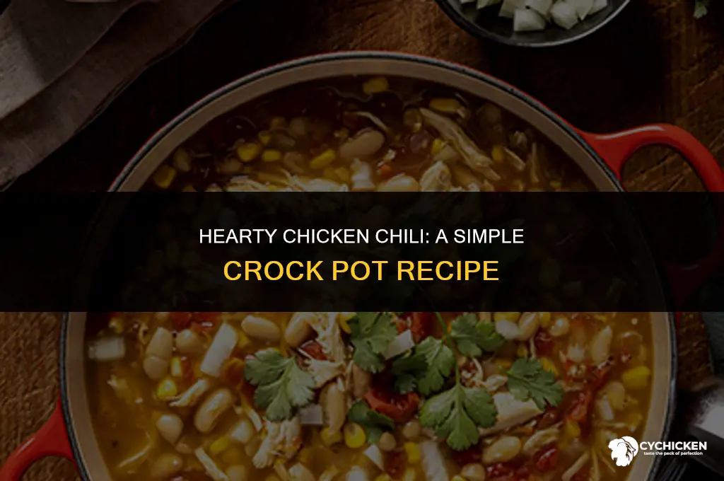how to make chicken chili crock pot