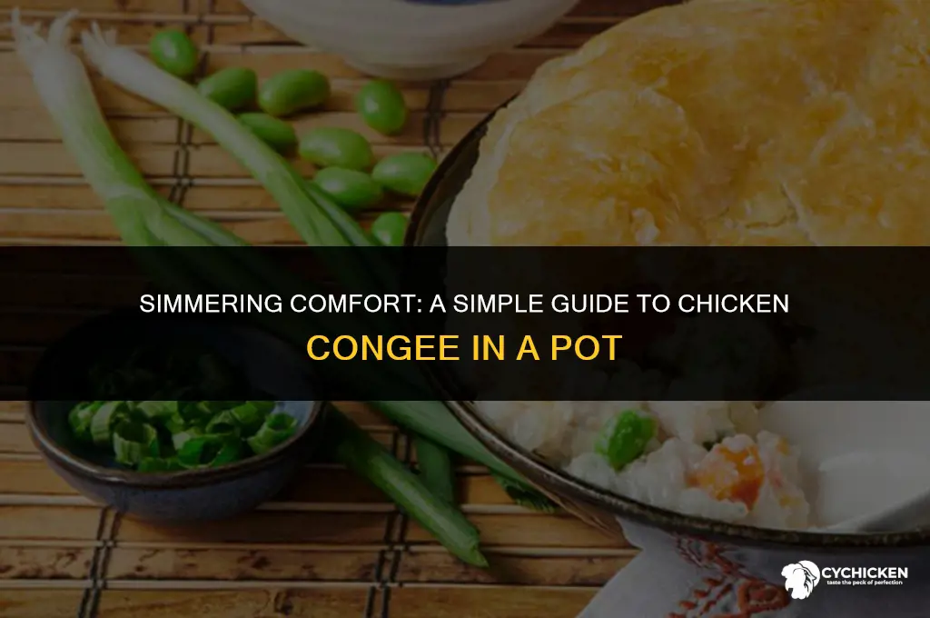 how to make chicken congee in a pot