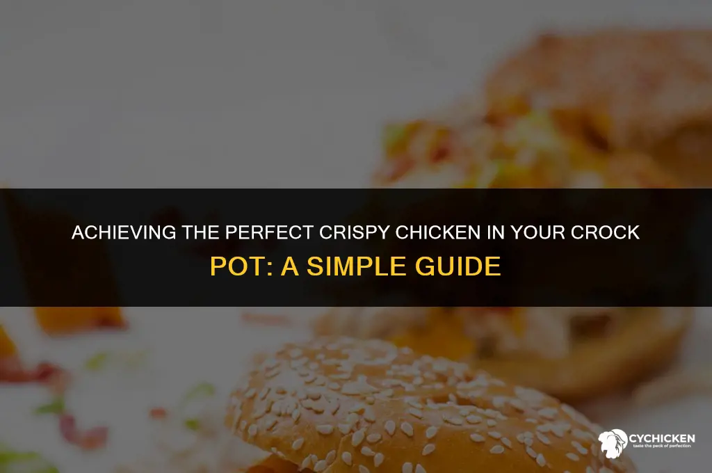 how to make chicken crispy in crock pot