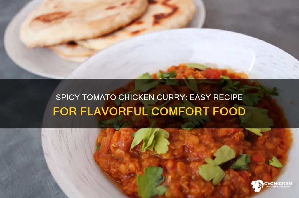how to make chicken curry with tomato sauce