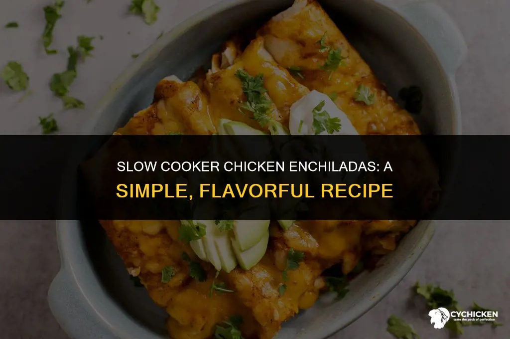 how to make chicken enchiladas in a crock pot