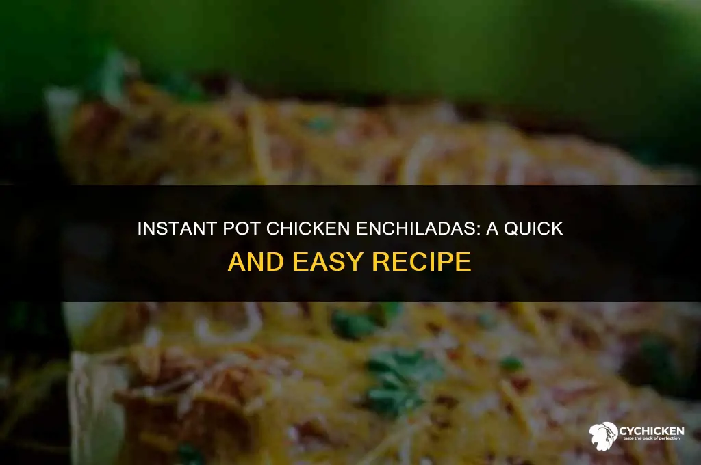 how to make chicken enchiladas in instant pot