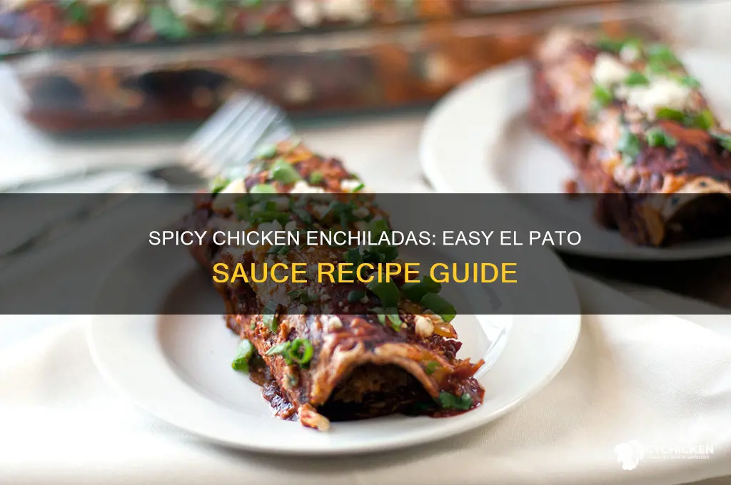 how to make chicken enchiladas with el pato sauce