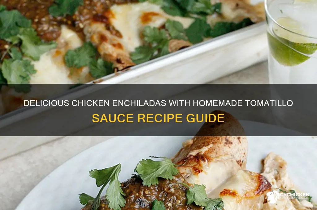 how to make chicken enchiladas with tomatillo sauce