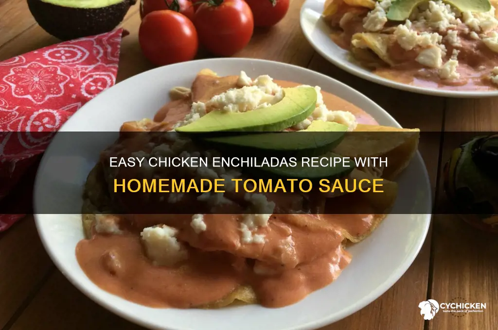 how to make chicken enchiladas with tomato sauce