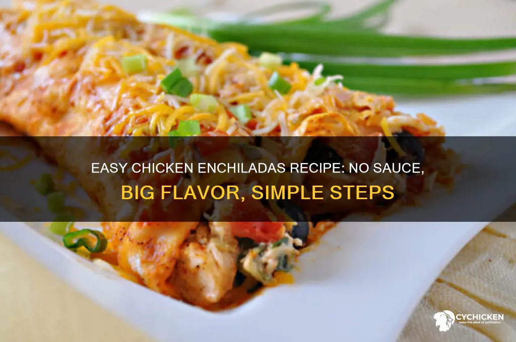 how to make chicken enchiladas without sauce