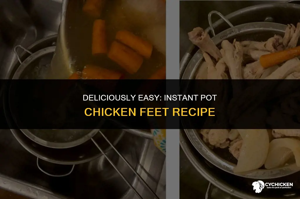 how to make chicken feet instant pot