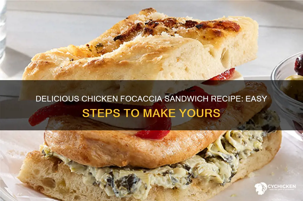how to make chicken focaccia sandwich