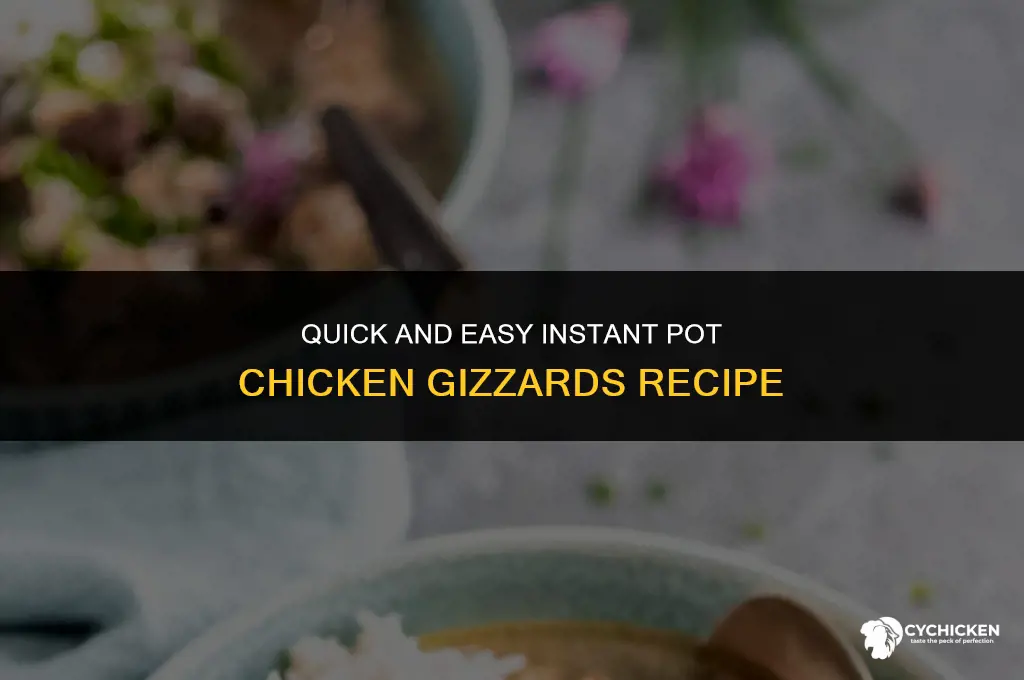 how to make chicken gizzards in an instant pot