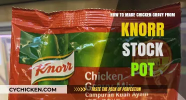 From Scratch to Delicious: Chicken Gravy Using Knorr Stock Pot