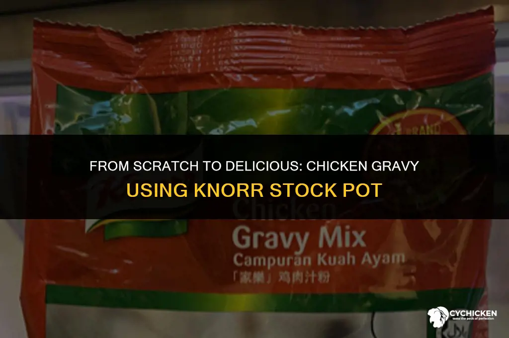 how to make chicken gravy from knorr stock pot