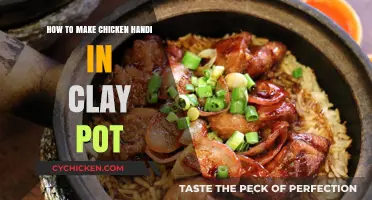 Savor the Flavor: Clay Pot Chicken Handi Recipe