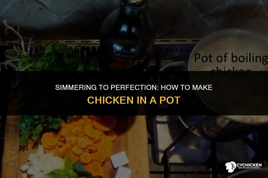how to make chicken in a pot