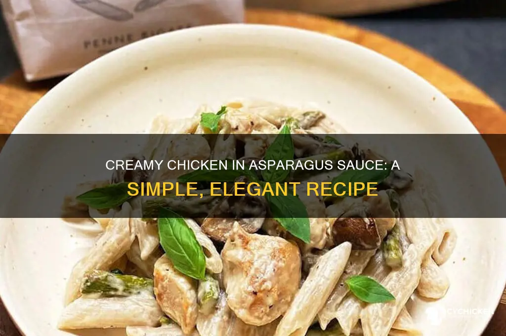 how to make chicken in asparagus sauce