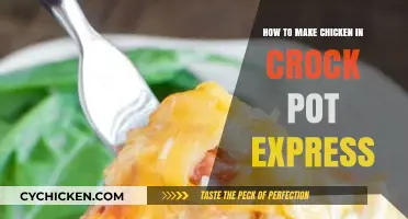 Quick and Easy Crock Pot Chicken Express Recipe