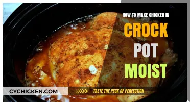 Savor the Flavor: Moist Crock Pot Chicken Recipe Revealed!