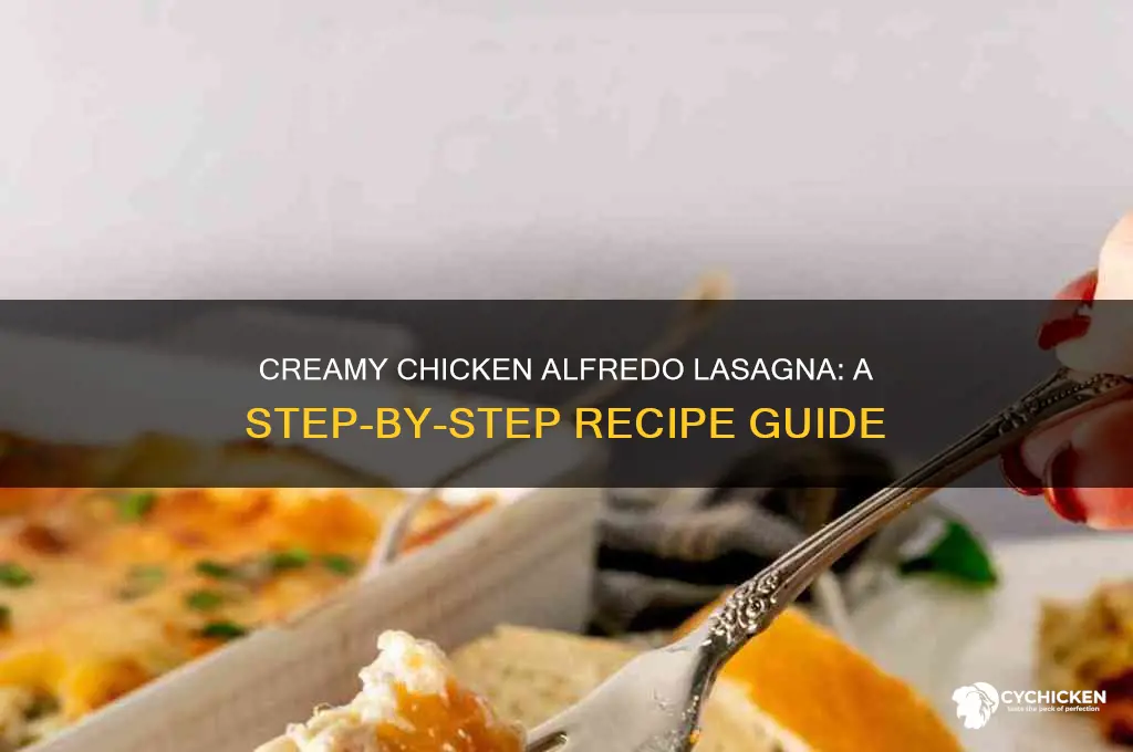 how to make chicken lasagna with alfredo sauce