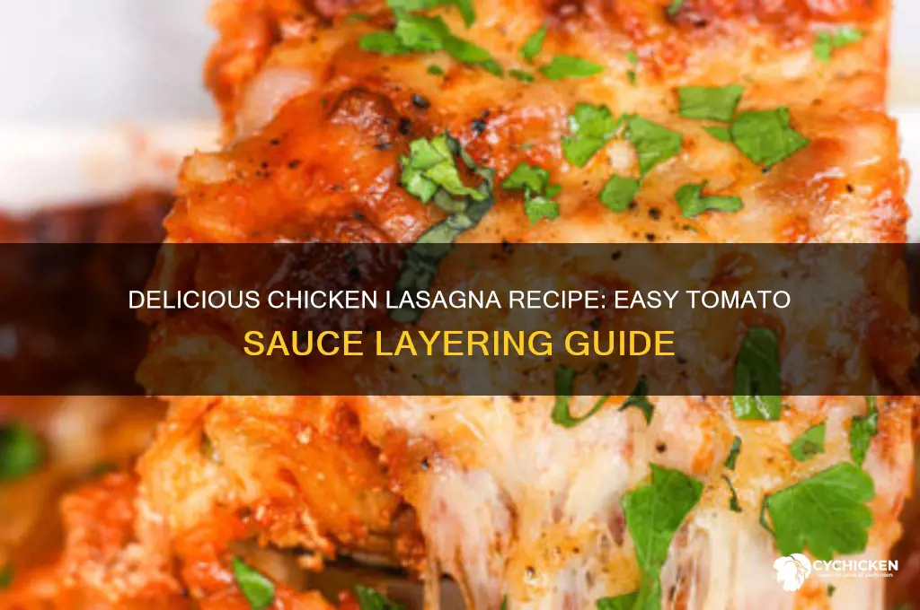 how to make chicken lasagna with tomato sauce
