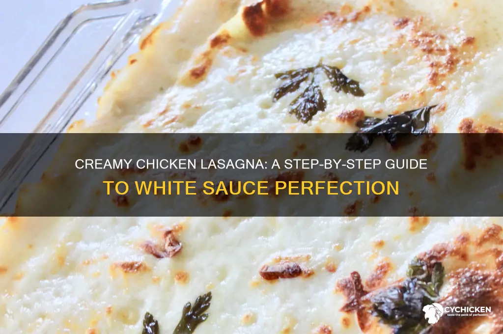 how to make chicken lasagna with white sauce
