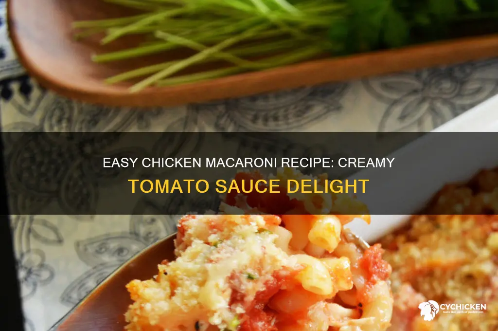 how to make chicken macaroni with tomato sauce