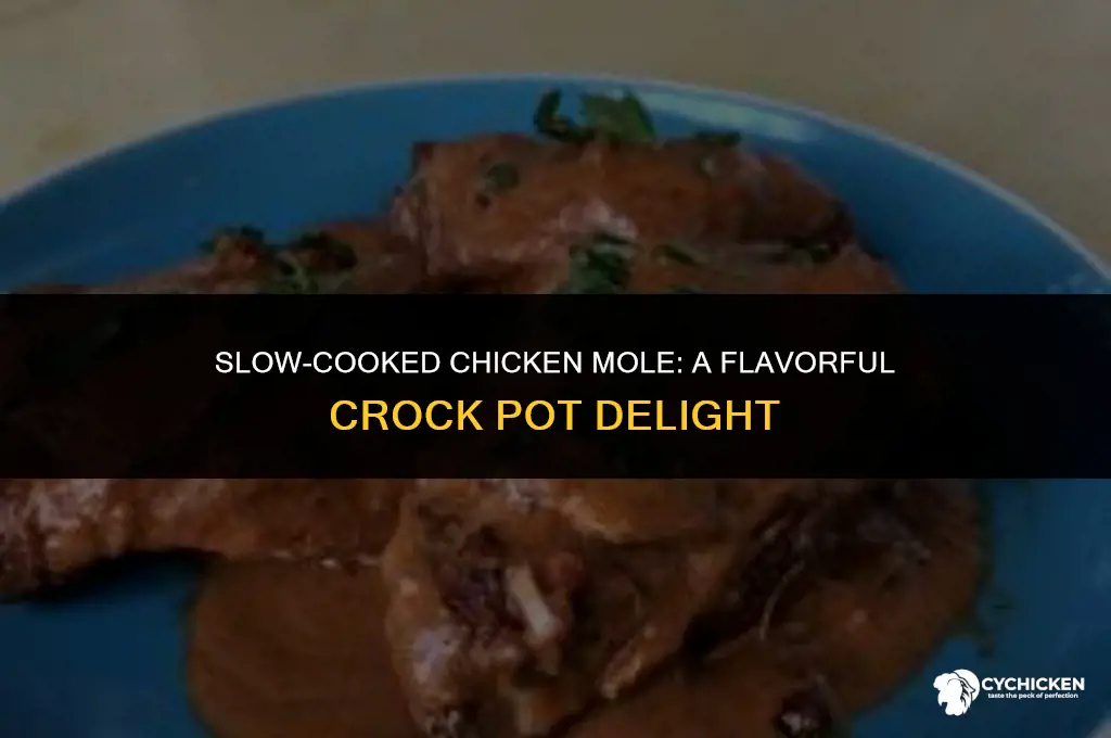 how to make chicken mole in a crock pot