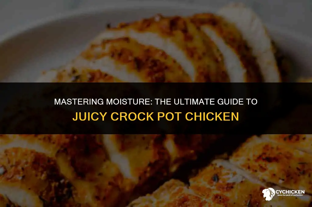 how to make chicken not dry in crock pot