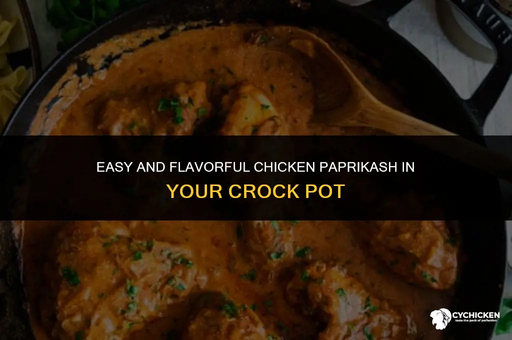 how to make chicken paprikash in crock pot