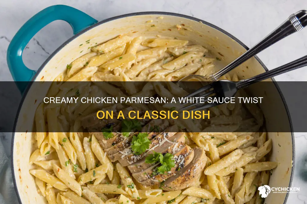 how to make chicken parmesan in white sauce