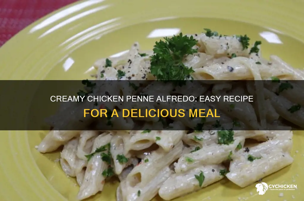 how to make chicken penne with alfredo sauce