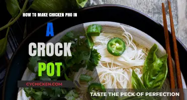 Simmering Comfort: Crock Pot Chicken Pho Recipe