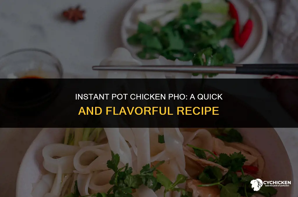 how to make chicken pho in an instant pot