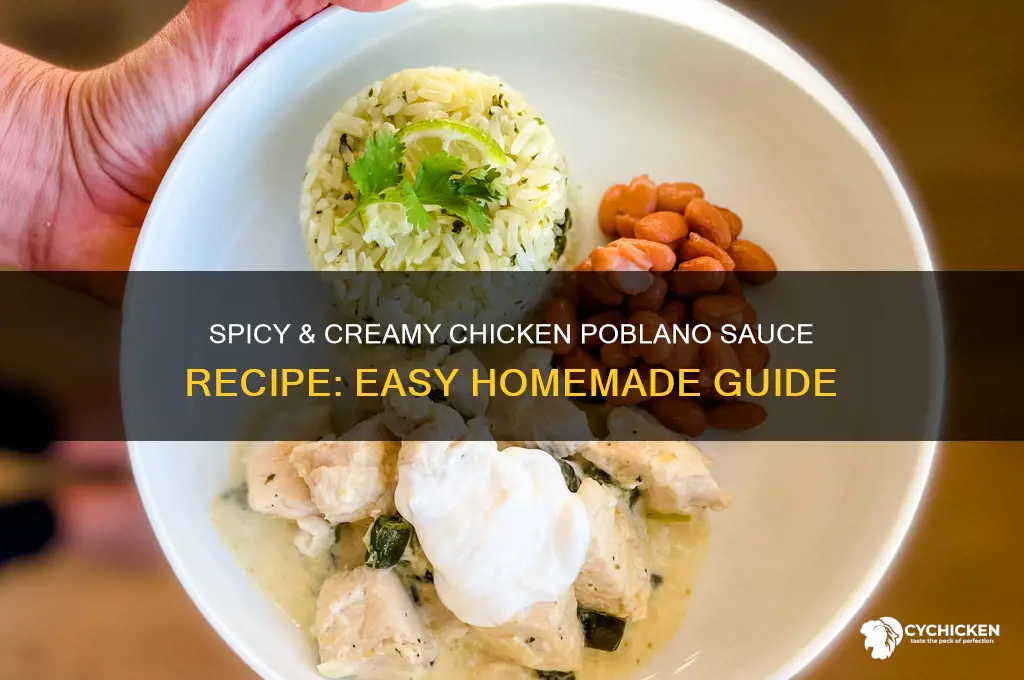how to make chicken poblano sauce