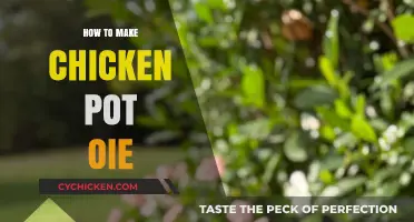 Savor the Comfort: Homemade Chicken Pot Pie Delight