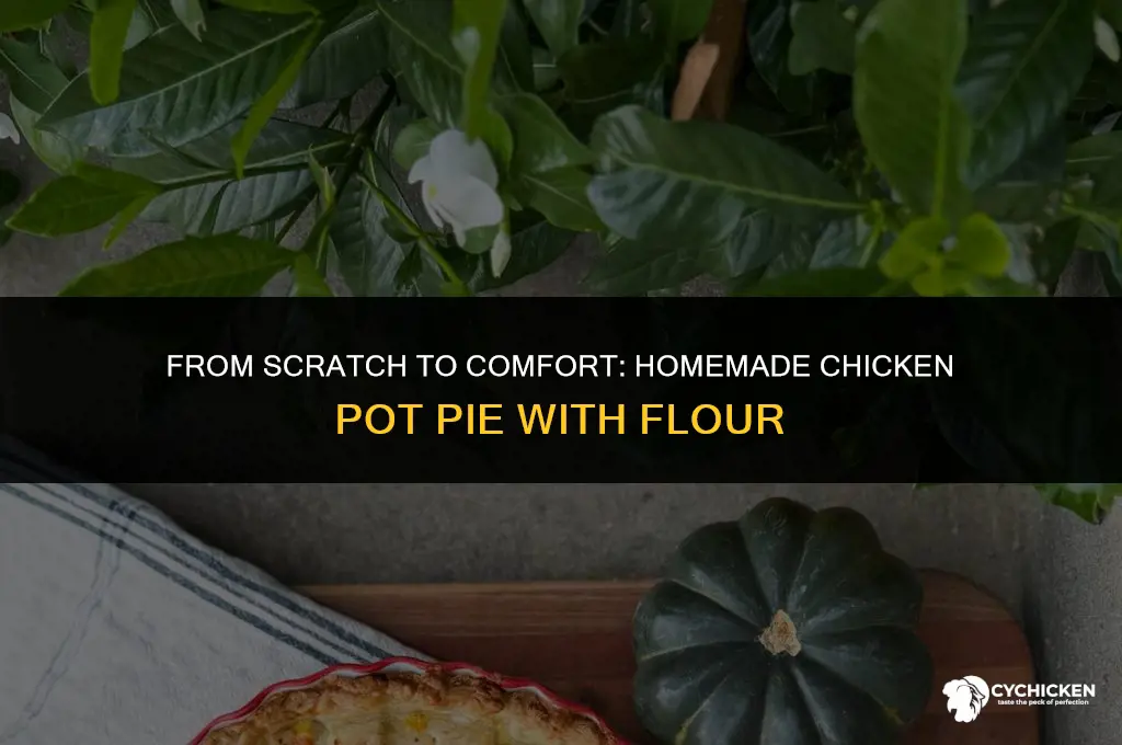 how to make chicken pot pie with flour