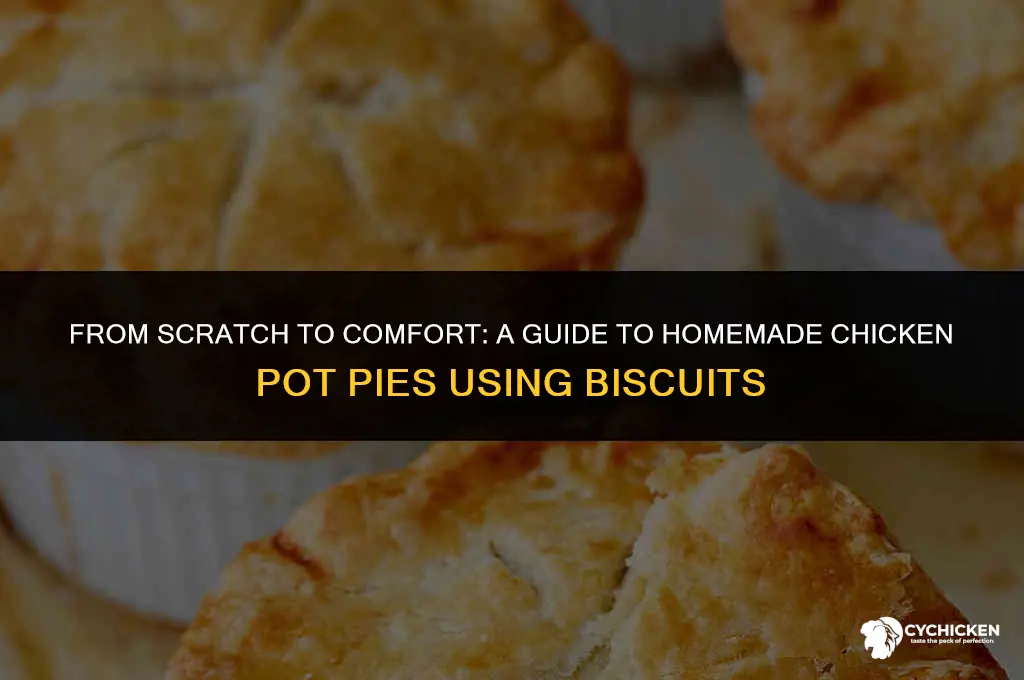 how to make chicken pot pies from bisquets