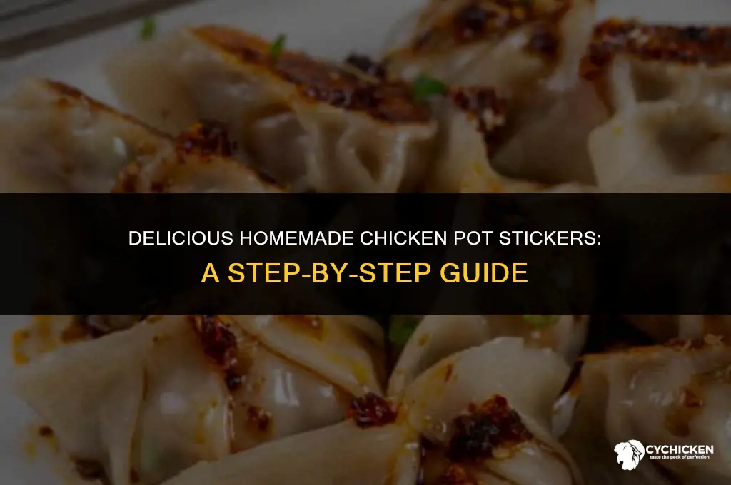 how to make chicken pot stickers