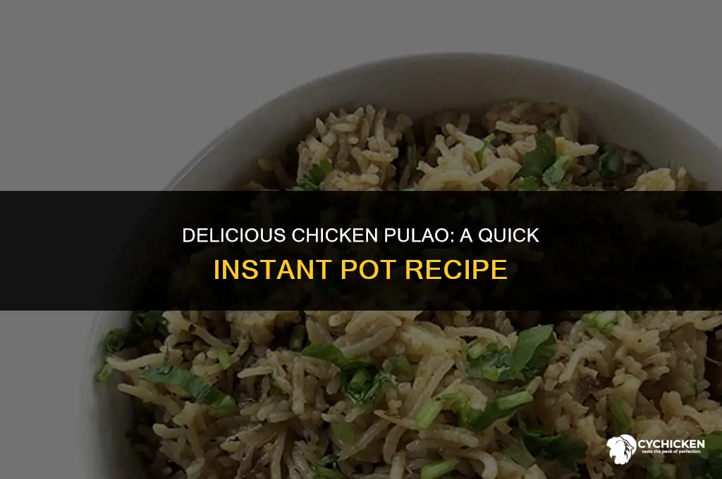 how to make chicken pulao in instant pot
