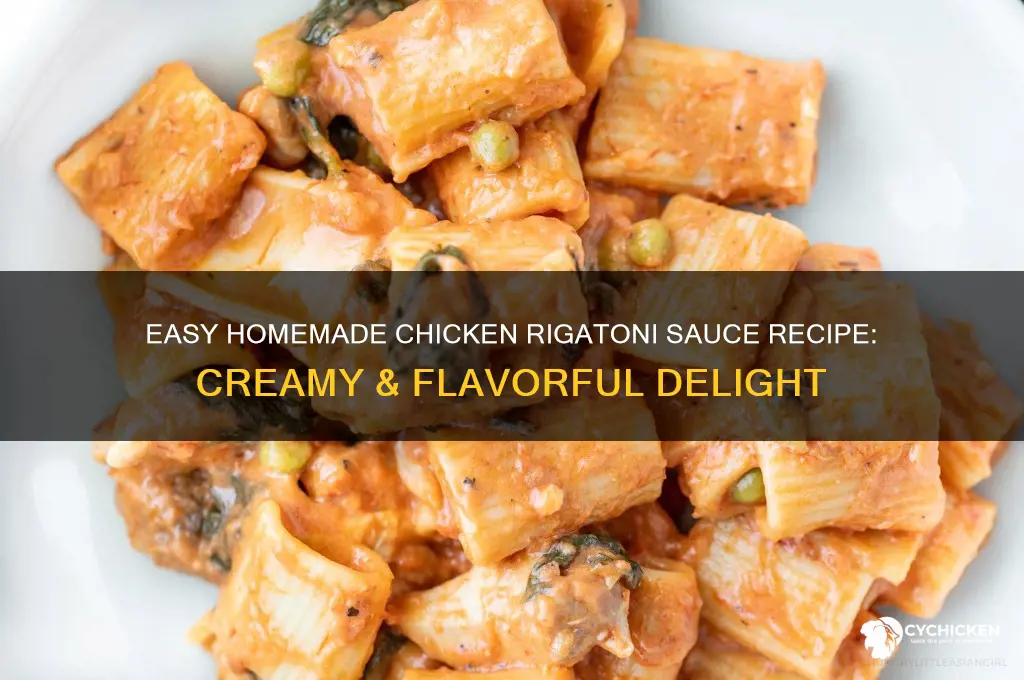 how to make chicken rigatoni sauce