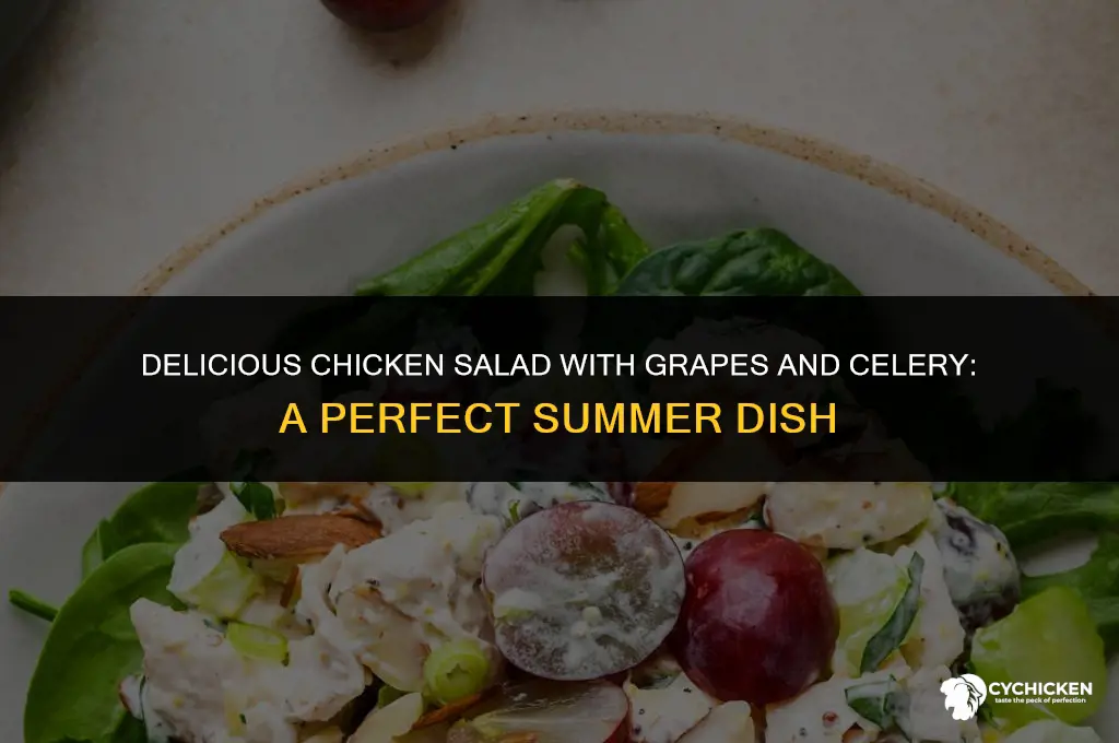how to make chicken salad with grapes and celery