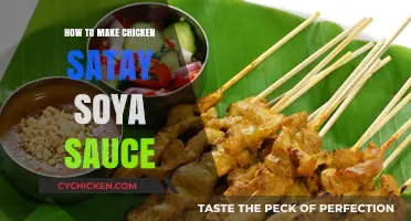 Easy Homemade Chicken Satay with Savory Soya Sauce Recipe Guide