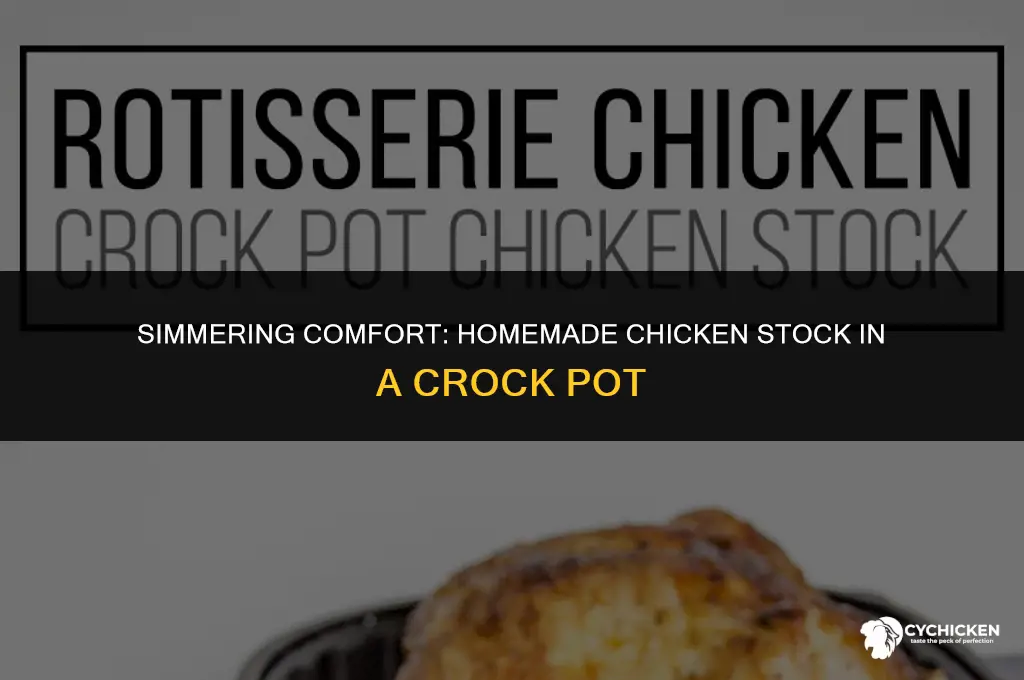 how to make chicken stock crock pot