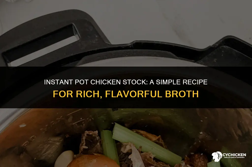 how to make chicken stock from bones in instant pot