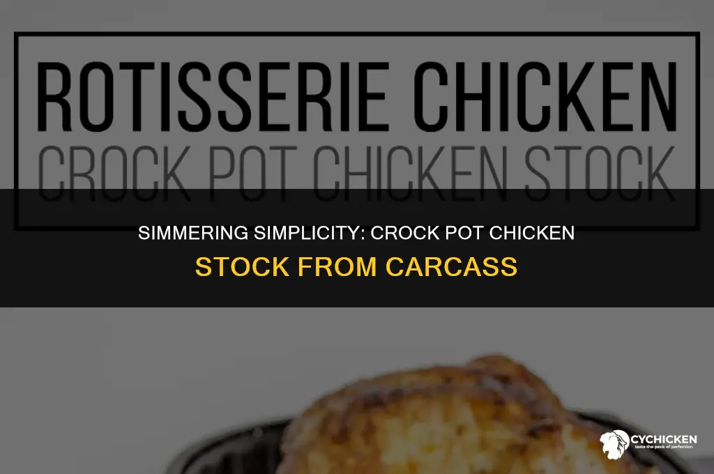 how to make chicken stock from carcass crock pot