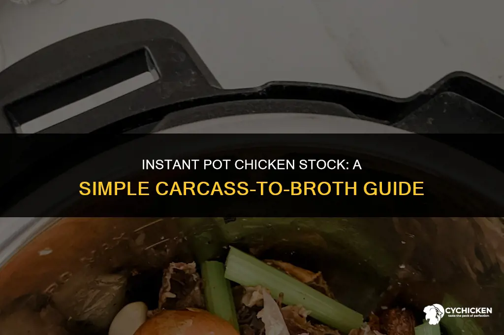 how to make chicken stock from carcass in instant pot