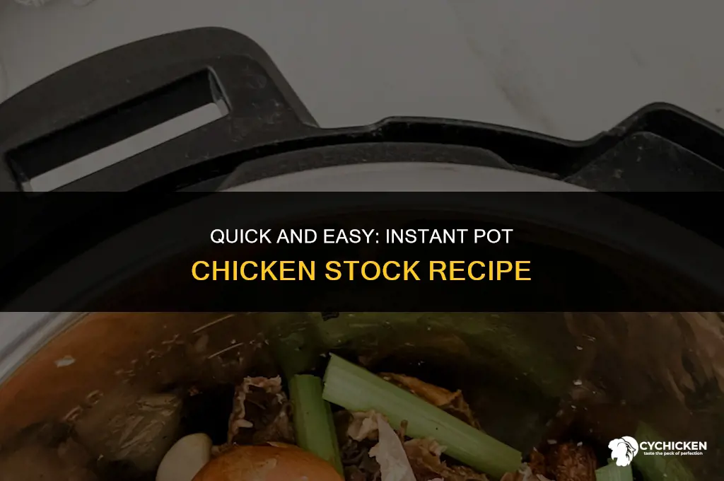 how to make chicken stock in an instant pot