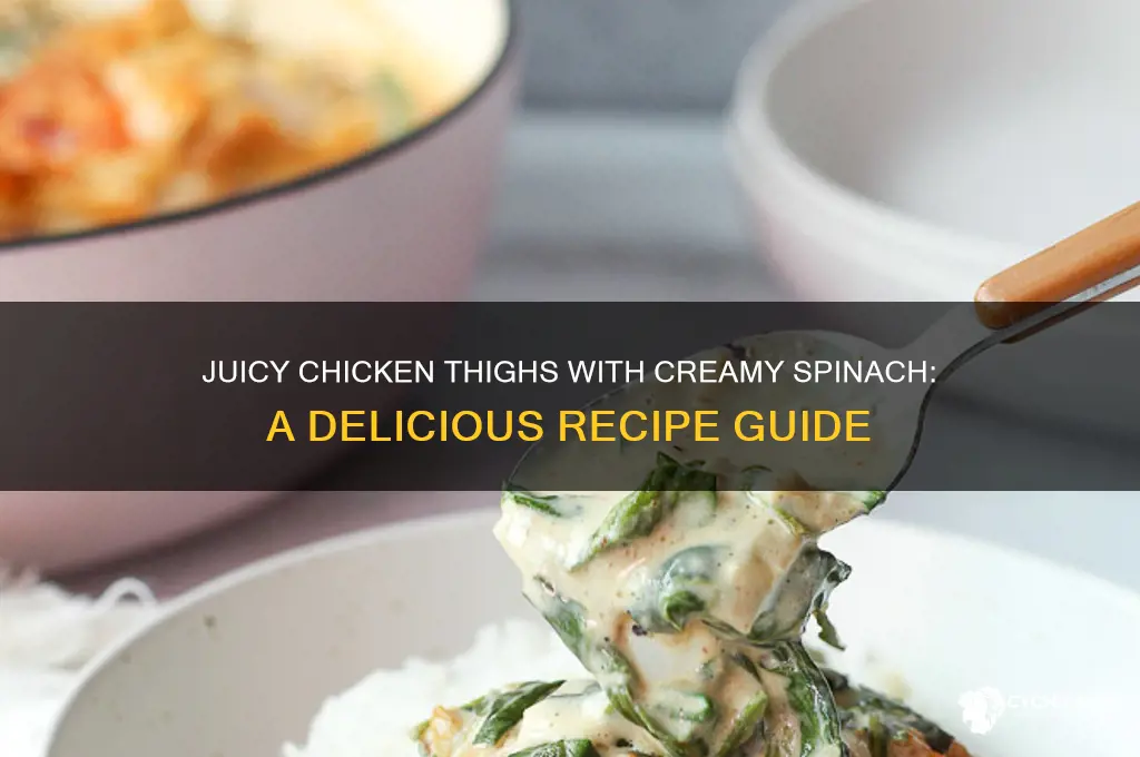 how to make chicken thighs and creamy spinach